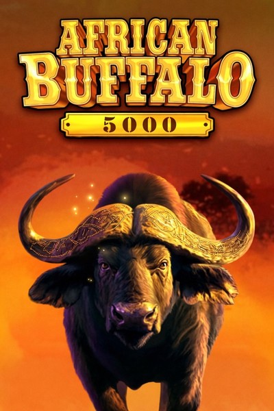 Grafica di African Buffalo 5000 nel marchio Betrepublic